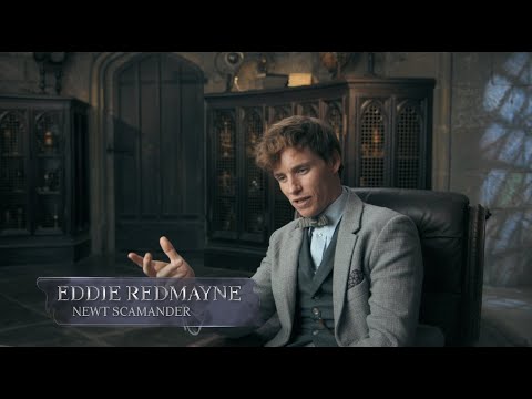 Fantastic Beasts: The Secrets of Dumbledore ? The Magic of Hogwarts