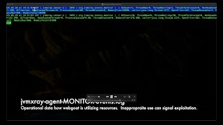 JVMXRay Demo 1