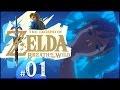 The Legend of Zelda: Breath of the Wild - Part 1 | New Adventure Begins! [Nintendo Switch Gameplay]