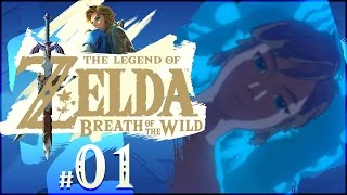 The Legend of Zelda: Breath of the Wild  Part 1 | New Adventure Begins! [Nintendo Switch Gameplay]