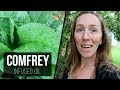 Comfrey Infused Oil