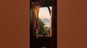 آيات بينات من الذكر الحكيم 🌺🌼