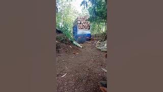 detik detik truk muatan kayu sengon gak kuat nanjak saat masih ada di kebun