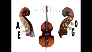 How to tune a Double Bass using Pitch Pals