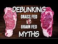 DEBUNKING Grass Fed vs Grain Fed MYTHS