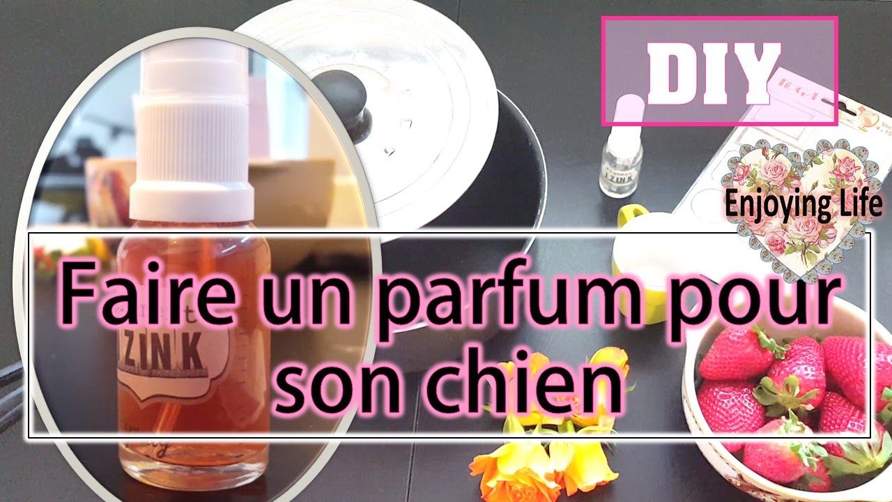 Video Conseil Comment Faire Du Parfum Pour Chien