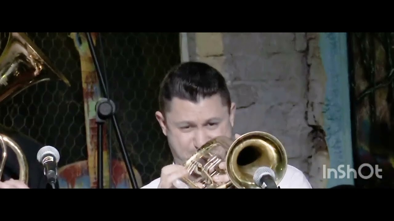 Mastika Bogdan Nikolic Donja Orkestar