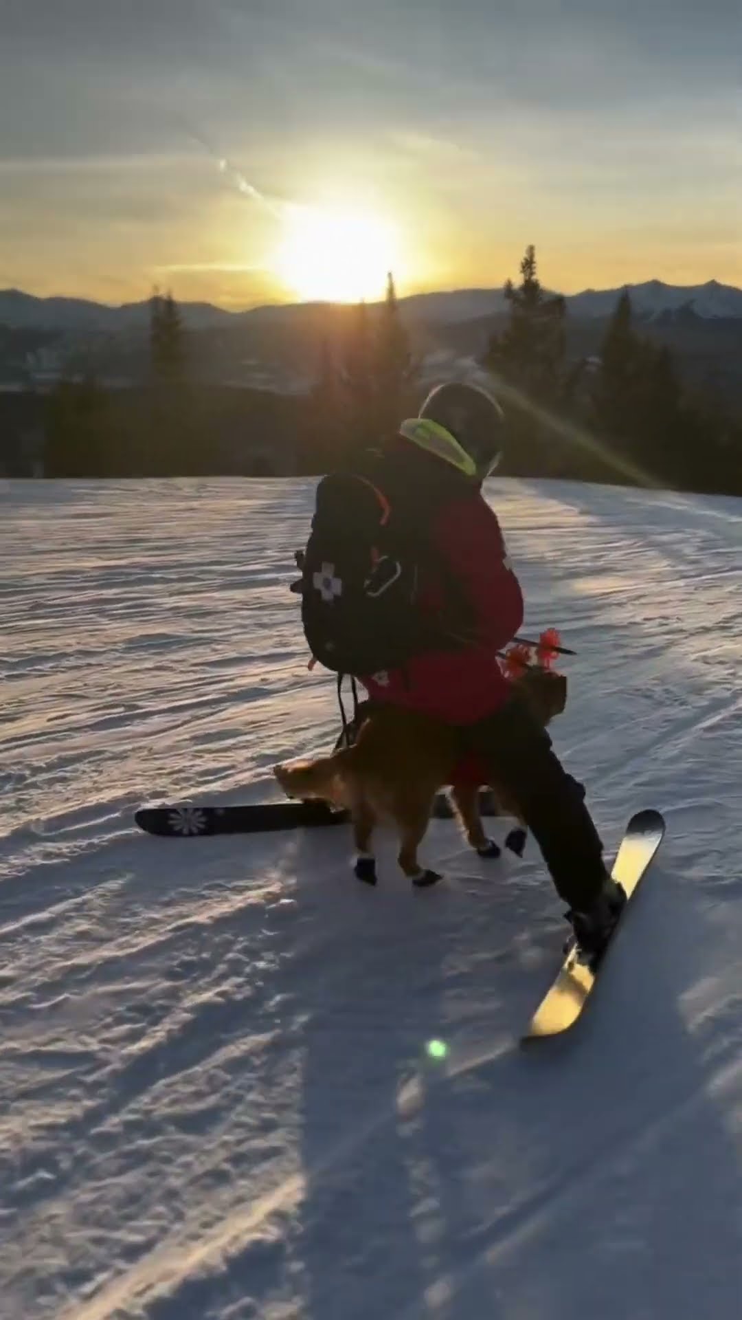 stuck in the snow with dog #shortsvideo