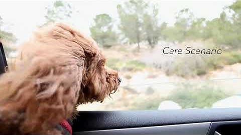 Seamless Multimodal Interaction Concept in the Future Car: Understand Me (concept)