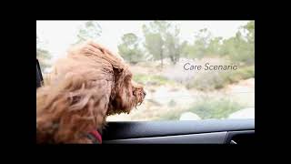 Seamless Multimodal Interaction Concept in the Future Car: Understand Me (concept)