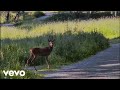 Seinabo Sey - BEFORE (Visualizer)