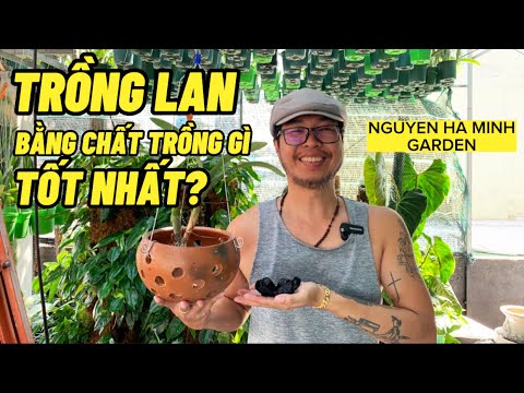 Video: Orchid Potting Mix - Các Loại Giá Thể Trồng Hoa Lan