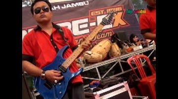 TKW - Lukito Mr Black Camelia TERBARU
