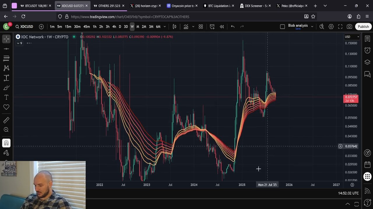Прогноз самых высоких цен в сети XDC за все время