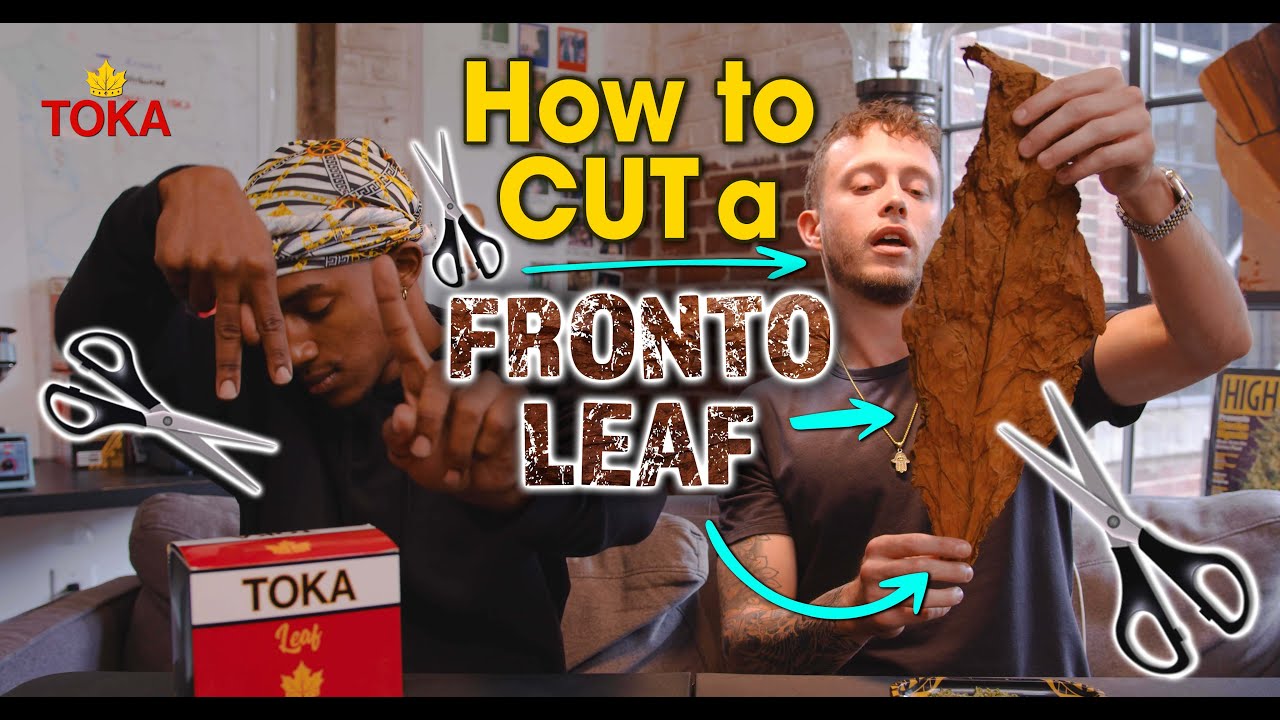 How to Cut a Fronto Leaf for a Blunt
