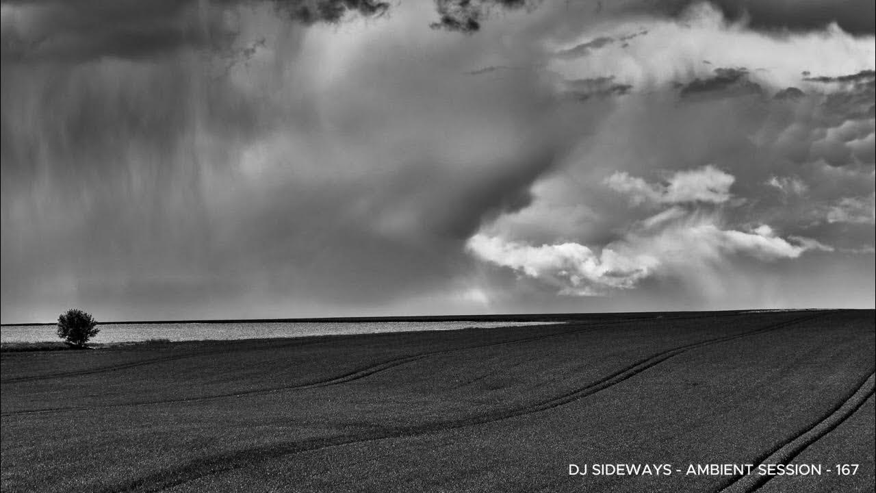 #agriculture #black and white #cereal #country #countryside #crop #cropland #far