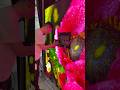 Watch an LED Screen Come Alive Module by Module.#yuchip #ledscreen #ledmodule #museum #shoppingmall