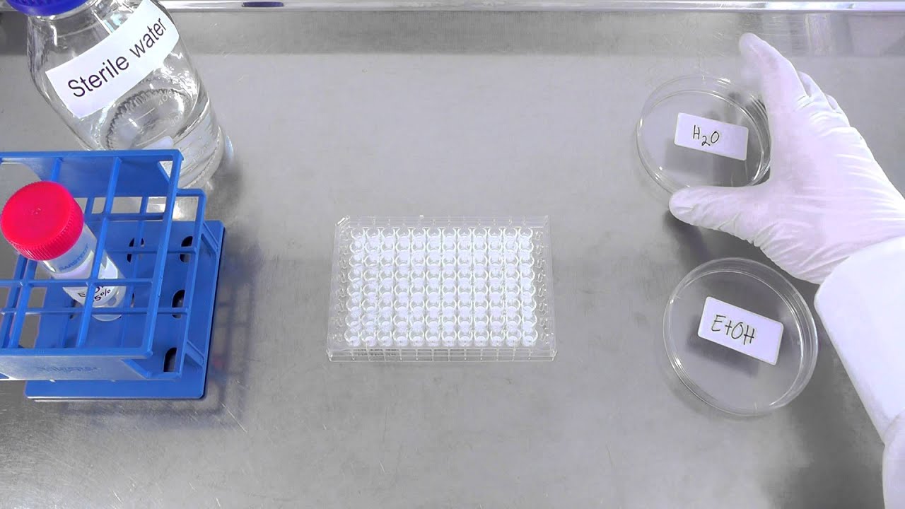 EtOH Treatment of ELISpot Plates YouTube