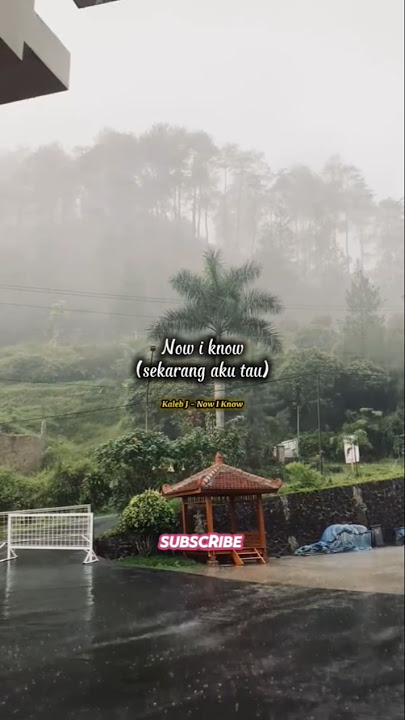Kaleb J - Now I Know | Story WA | Lirik lagu #shorts #liriklagu #kalebj #nowiknow #storywa #lirik