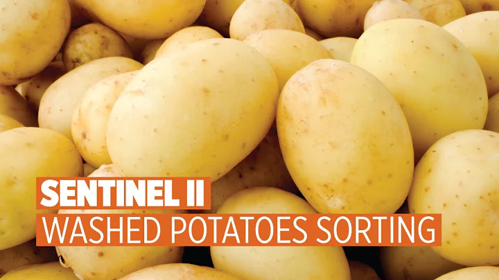 Sentinell II - Washed Potatoes Sorting