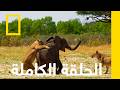 الحلقة الكاملة الكوكب المعادي أفريقيا ناشونال جيوغرافيك أبوظبي