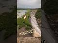 This boy drained the entire dam.#shortvideo
