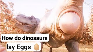 Dinosaurs Laying Eggs: What Really Happened? 🦕 🥚