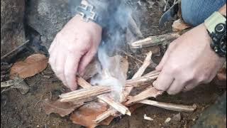 Paraguaios Bushcraft | Bosque das sombras #2