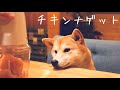 【柴犬と晩酌】チキンナゲットを作る