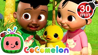find the lost duckling song cody and friends sing with cocomelon