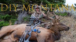 Solo DIY Archery Elk Hunt Montana Public Land (FIRST BULL!!)