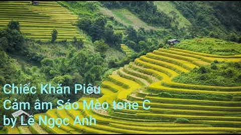 Chiếc Khăn Piêu || Cảm âm Sáo Mèo tone C