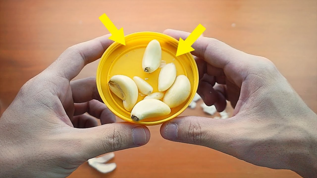 台灣好農部落格 剝大蒜皮的簡單方法 你一定要看看