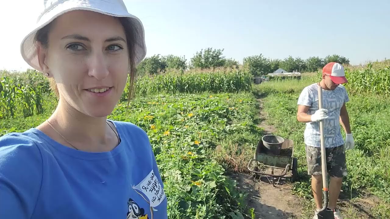 Переехали на Юг \\ Мы в шоке от результата Но мы сдаваться не будем ...