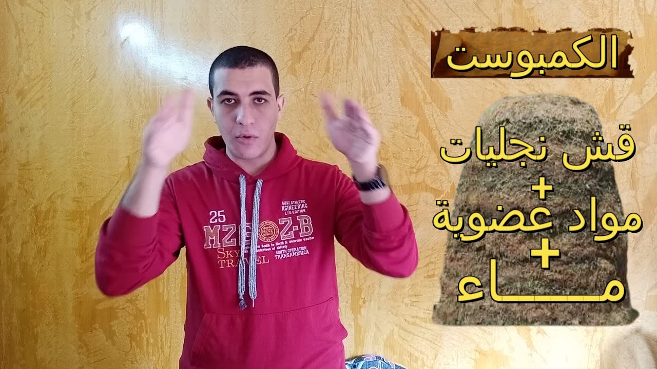 كيفية عمل الكمبوست لزراعة فطر عيش الغراب ( المشروم ) + دراسة الجدوي ؟؟