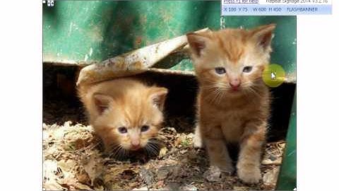 Repeat Signage controls - Picture banner control