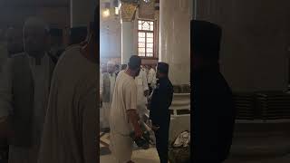 Download Lagu muhammad nabina - hamada helal - lirik dan terjemahan indonesia sholawat nabi #love MP3