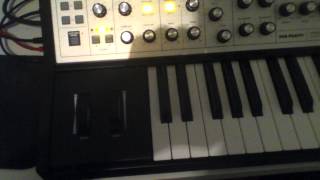 moog sub phatty  mfb step 64 screenshot 5