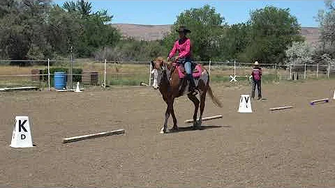 FOR SALE Tate Western Dressage Second Level Test 1