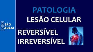 Lesão Celular Reversível e Irreversível: Mecanismos Bioquímicos (Patologia Geral) - Bio Aulas