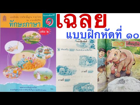 เฉลยทักษะภาษา ป.1 บทที่ 10 เพื่อนรู้ใจ หน้า 35-48 : ใบโบก ใบบัว ภาษาไทย ป.1