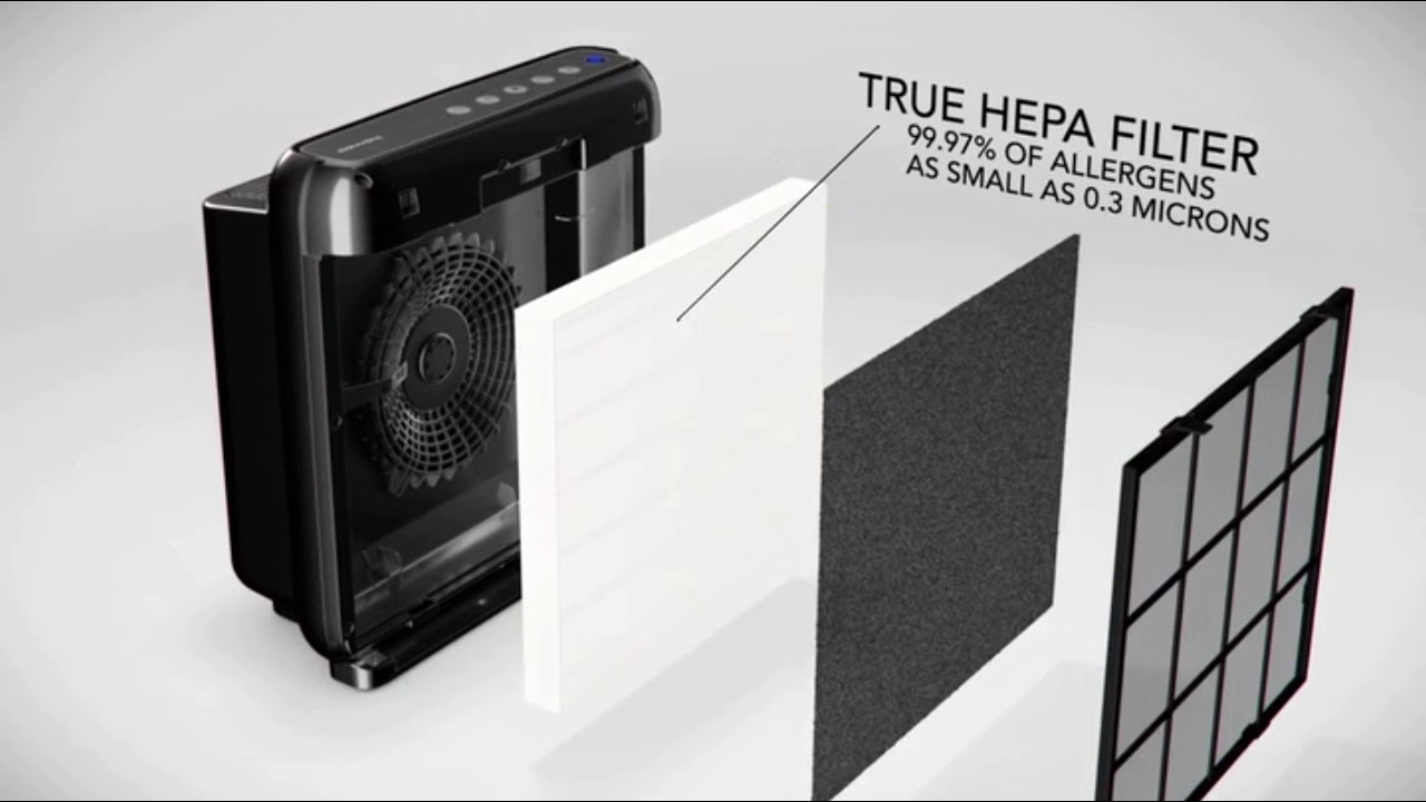 Coway AP1512HH Mighty Air Purifier Review!+ Coway AP1512HH Mighty Air