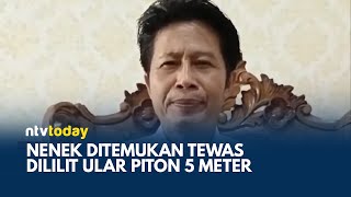 Wanita di Jambi Tewas Dililit Ular Piton saat Bekerja, Warga Berhasil Menangkap Ular | NTV TODAY