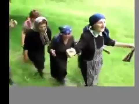 მიშას სექტანტები