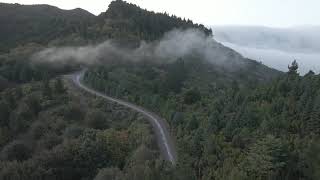 Nolo - On A Ride Official Music Video