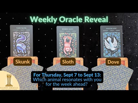 Weekly Oracle Reveal 🔮✨| Tarot Reading for Sep 7 to Sep 13 | Elliot Oracle 🦨 🦥 🕊️