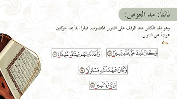 (3) ألقاب المدود ومراتبها | تجويد القرآن الكريم | الصف العاشر - الفصل الثاني