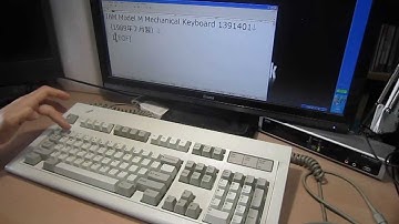 IBM Model M Mechanical Keyboard 1391401 (July 1989)