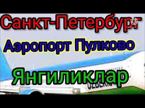 Video: Санкт-Петербургдан Таллинге кантип жетүүгө болот