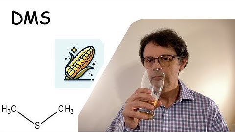 🌽 DMS (cooked corn) in Beer: What It Is and How to Control It (Beer Sensory Evaluation)